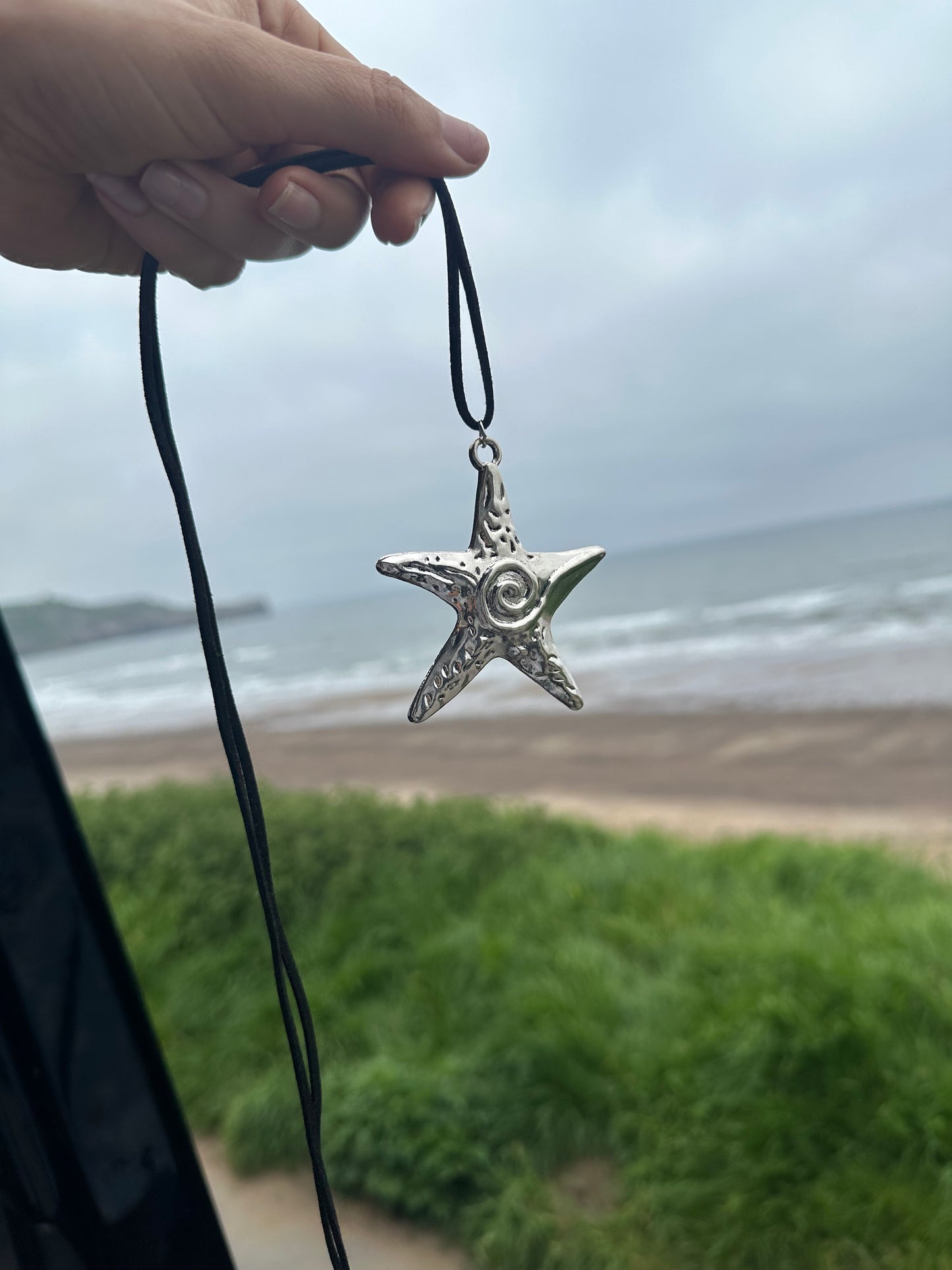 Large silver starfish